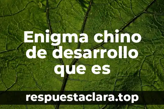 Qué es el arte marcial chino 3 Enigma chino de desarrollo que es