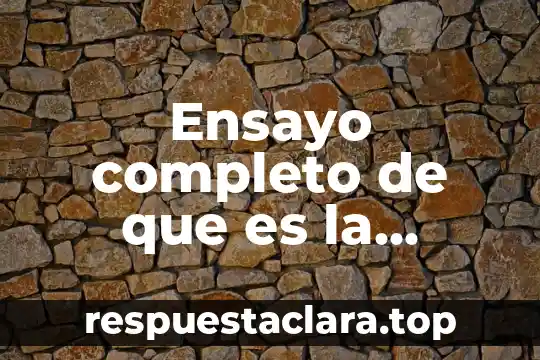 Que es la justicia hans kelsen libro descargar 3 Ensayo completo de que es la justicia de hans kelsen