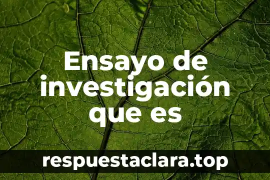 Ensayo de investigación que es