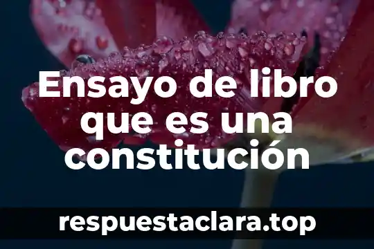 Ensayo de libro que es una constitución