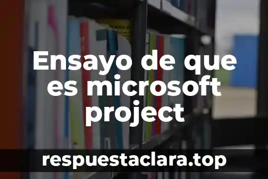 Ensayo que es el sistema de vídeo compuesto 8 Ensayo de que es microsoft project