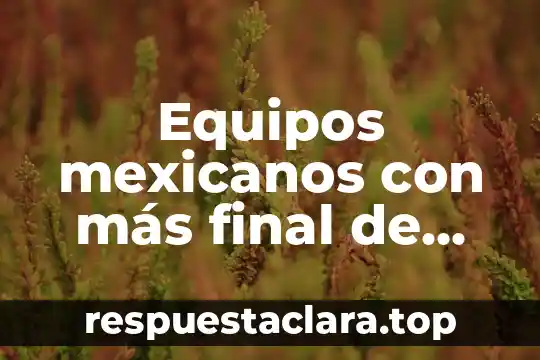 Que es un panel de control en equipos detectores 5 Equipos mexicanos con más final de Libertadores