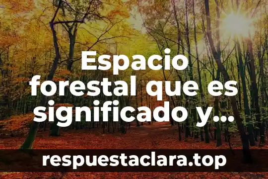 Que es diversidad intercultural concepto de primaria 5 Espacio forestal que es significado y concepto