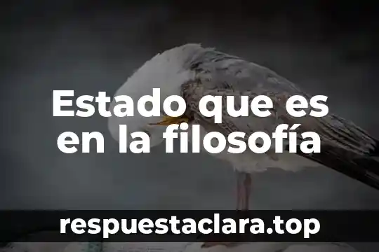 Estado que es en la filosofía