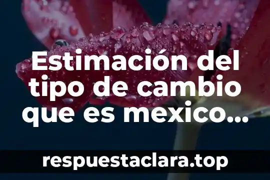 Estimación del tipo de cambio que es mexico 2019