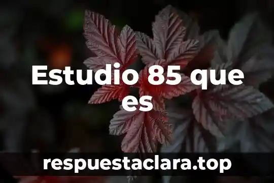 Que es la planificacion en tecnicas de estudio 3 Estudio 85 que es