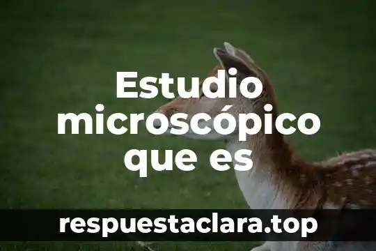 Estudio microscópico que es