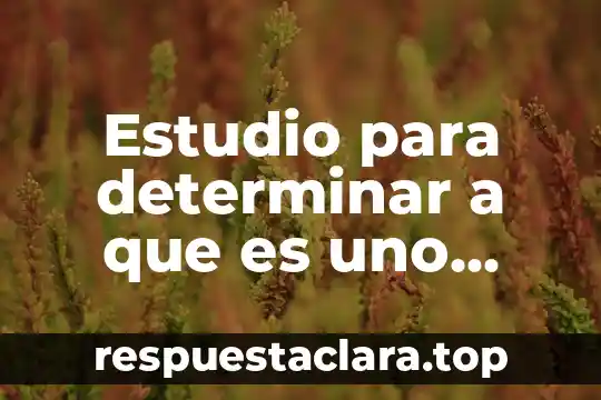 Estudio para determinar a que es uno alergico