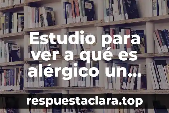 Qué es lo más importante para un bebé recién nacido 8 Estudio para ver a qué es alérgico un bebé