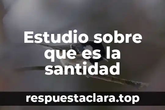 Qué es un estudio perfil prostático libre 3 Estudio sobre que es la santidad