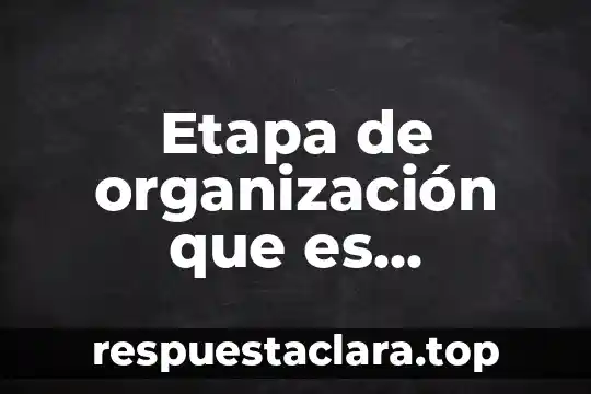 Que es los valores de una organizacion 6 Etapa de organización que es departamentalización