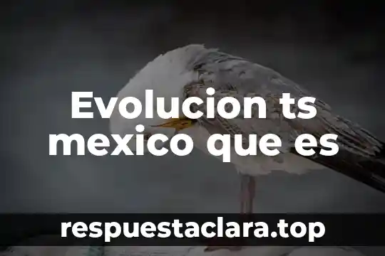 Qué es la teoría de la evolución sintética 8 Evolucion ts mexico que es