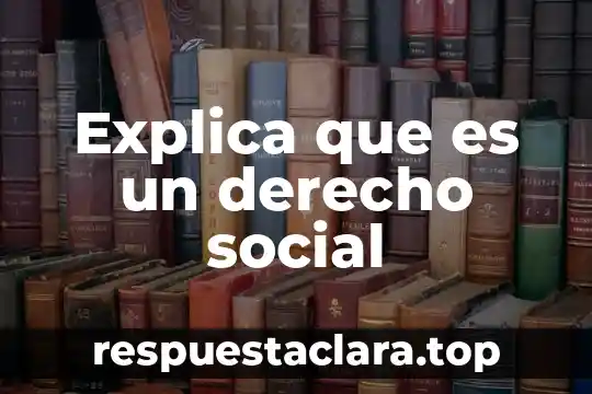 Explica que es un derecho social