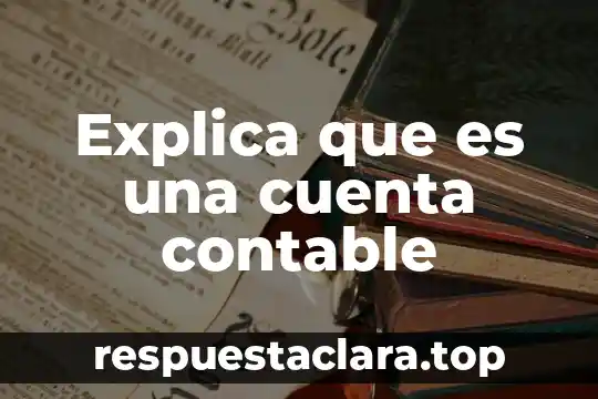 Explica que es una cuenta contable