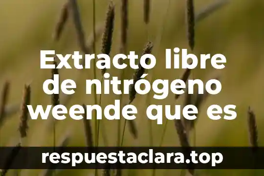 Extracto libre de nitrógeno weende que es