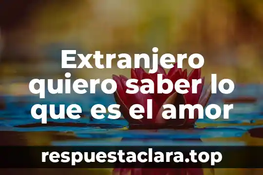 Que es ser hipocrita en el amor 3 Extranjero quiero saber lo que es el amor