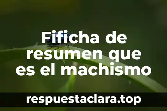 Fificha de resumen que es el machismo