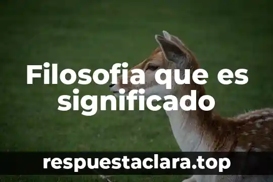Significado que es la Navidad 3 Filosofia que es significado