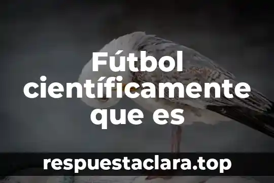 Fútbol científicamente que es