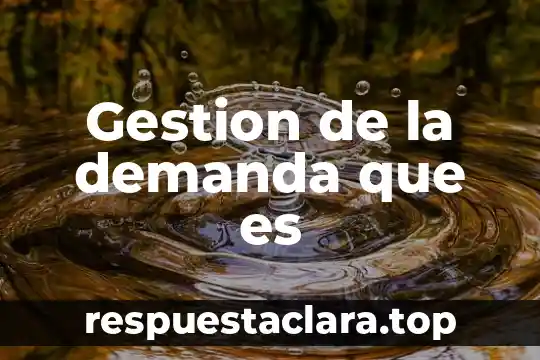 Gestion de la demanda que es