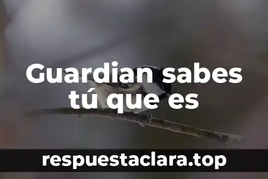 Guardian sabes tú que es