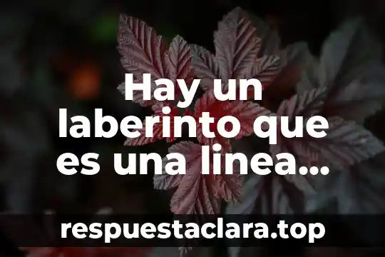 Hay un laberinto que es una linea recta borges