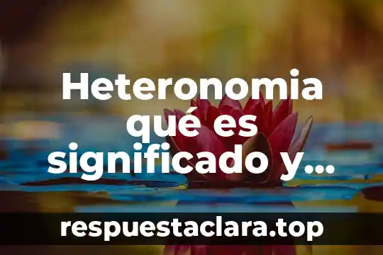 Que es una nota bibiografica significado 5 Heteronomia qué es significado y concepto