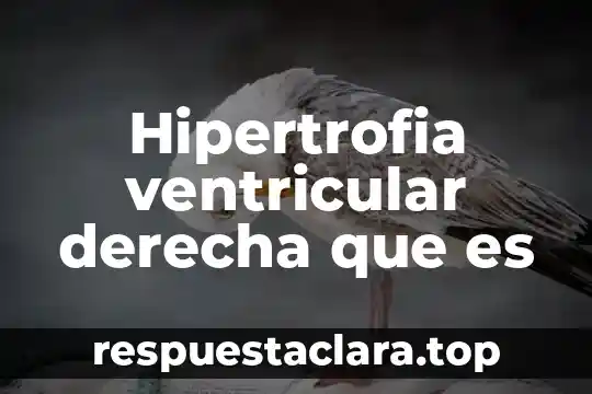 Hipertrofia ventricular derecha que es
