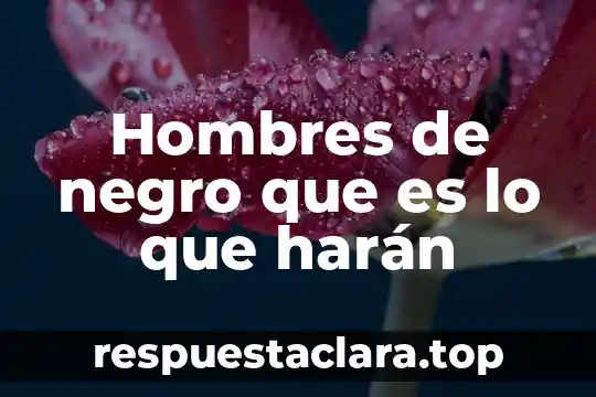 Qué es el desierto definición concreto 4 Hombres de negro que es lo que harán