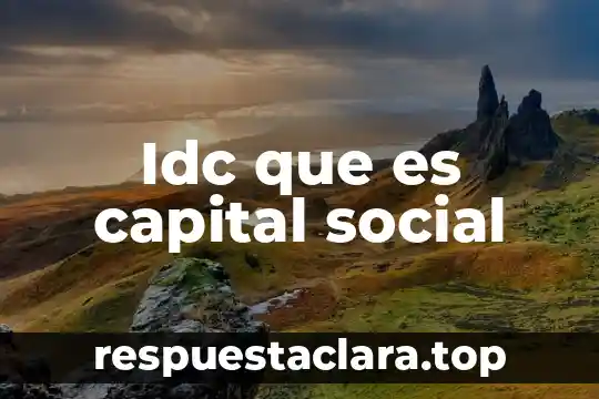 Idc que es capital social