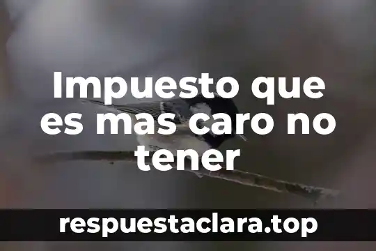 Impuesto que es mas caro no tener