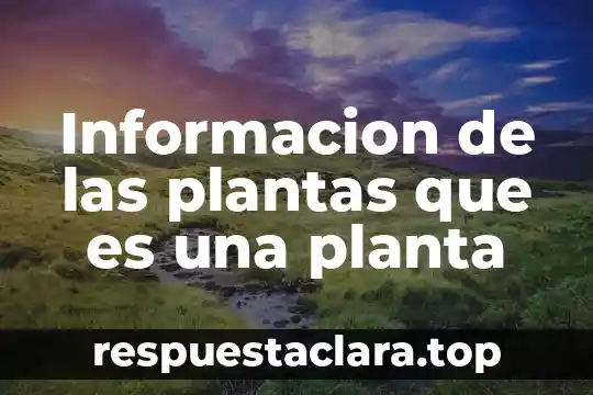 Informacion de las plantas que es una planta