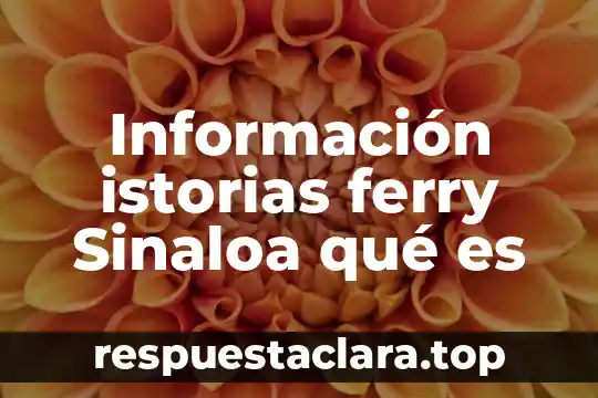 Que es significa informacion 6 Información istorias ferry Sinaloa qué es