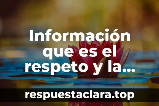 Definicion que es respeto 5 Información que es el respeto y la colaboración