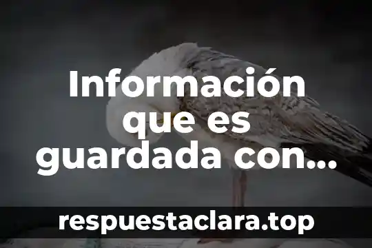 Que es una extension de un documento 3 Información que es guardada con un nombre y extensión