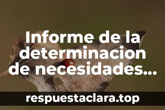 Informe de la determinacion de necesidades que es