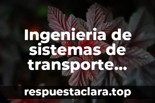 Ingenieria de sistemas de transporte urbano que es