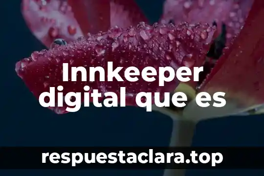Que es la animacion digital multimedia 3 Innkeeper digital que es