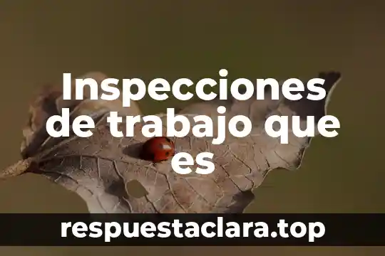 Inspecciones de trabajo que es