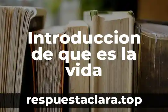 Qué es una vida necia en filosofía 8 Introduccion de que es la vida