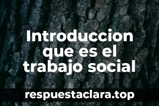 Introduccion que es el trabajo social