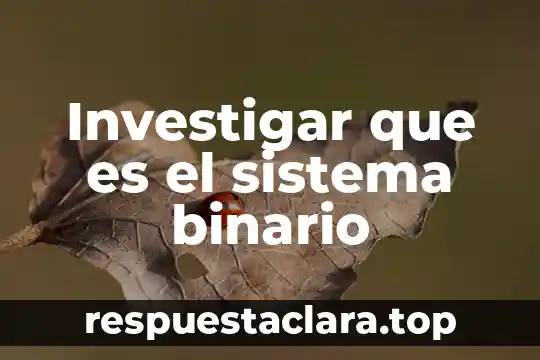 Investigar que es el sistema binario