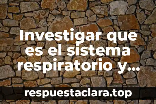 Rosa de los vientos que es y para que sirve 6 Investigar que es el sistema respiratorio y para que nos sirve