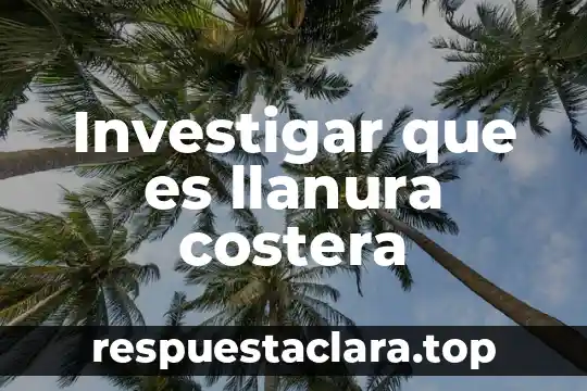Investigar que es llanura costera