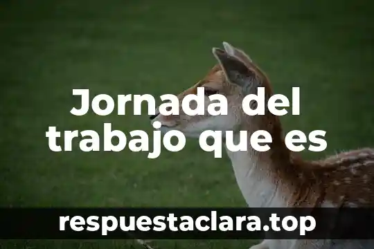 Jornada del trabajo que es