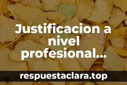 Justificacion a nivel profesional que es