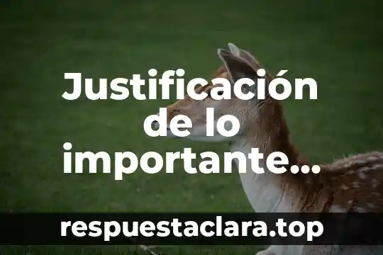 Justificación de lo importante que es la comprensión lectora