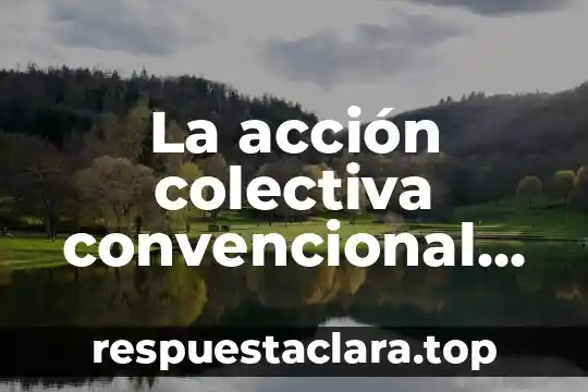 La acción colectiva convencional que es