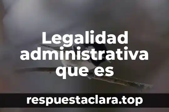 Legalidad administrativa que es