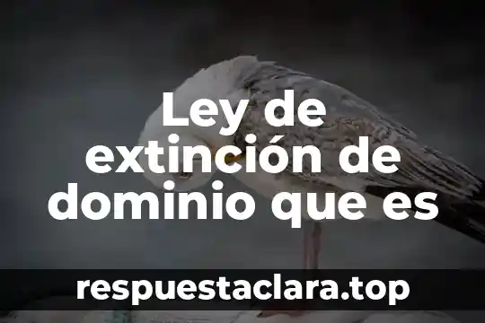 Ley de extinción de dominio que es